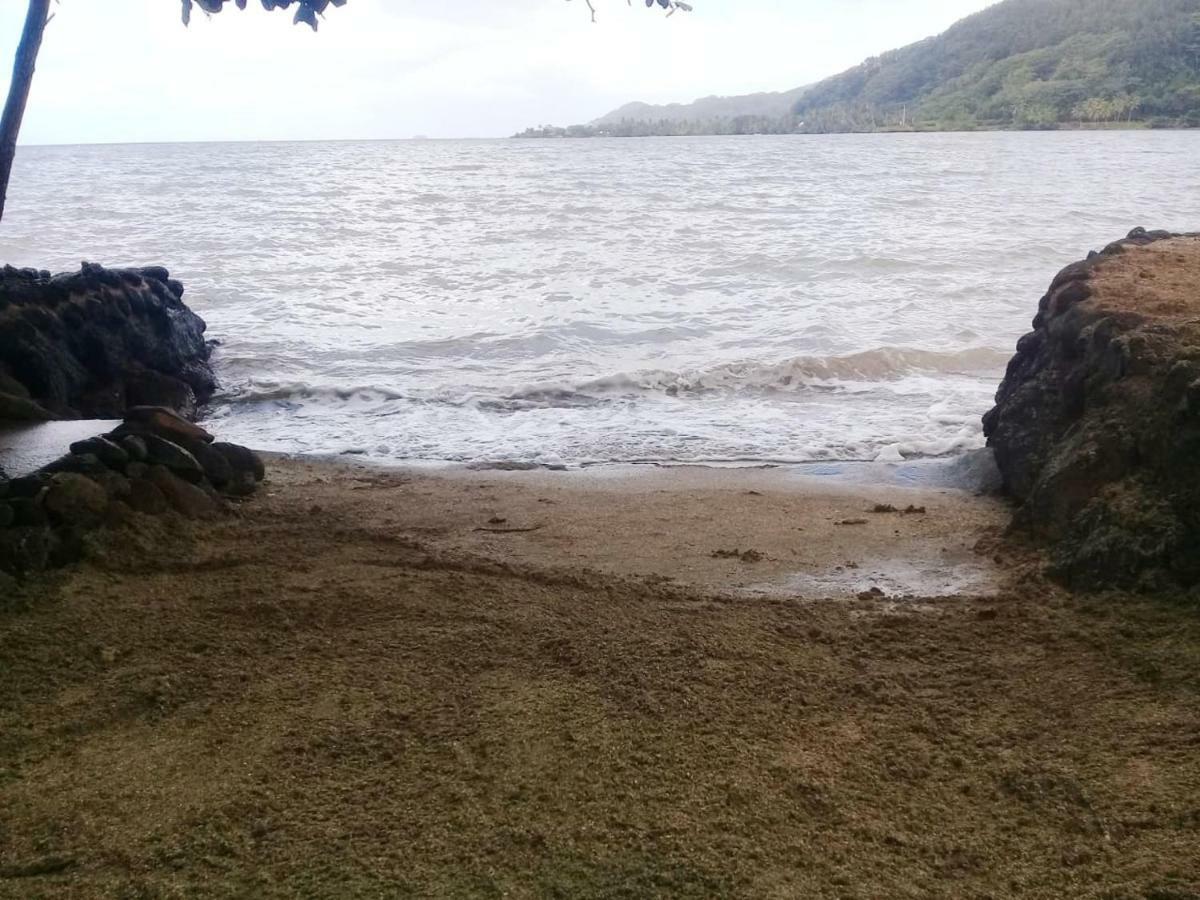 Fare Vahine Oviri - 1048Dto-Mt Villa Uturoa Bagian luar foto